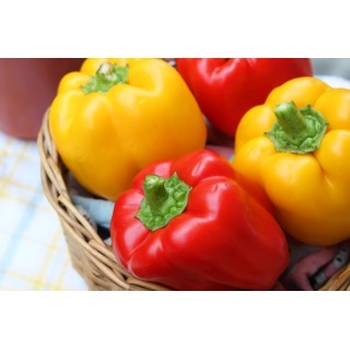 Poivrons Jaunes