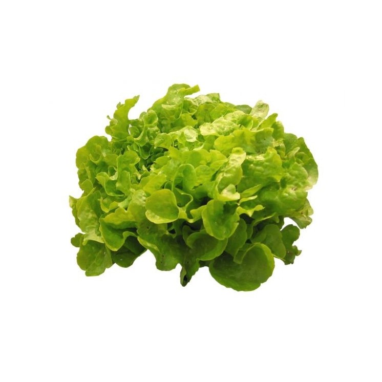 Salade Verte